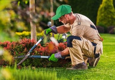 Caucasian Garden and Landscaping Services Contractor in His 40s with Hedge Shears Performing Spring Time Back Yard Maintenance. (Caucasian Garden and Landscaping Services Contractor in His 40s with Hedge Shears Performing Spring Time Back Yard Mainten